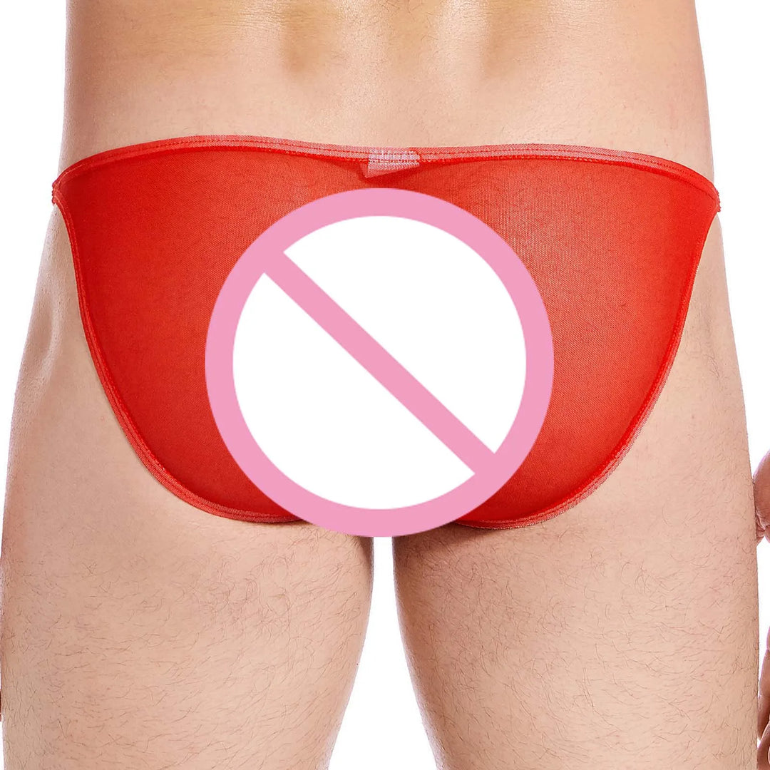 Mens Ultra Thin Mesh Underwear