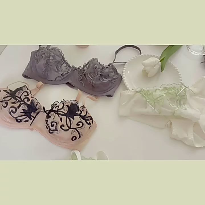 Cheeky Ultra-Thin See-Thru Embroidered Bra And Panty Set