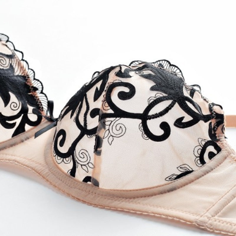 Cheeky Ultra-Thin See-Thru Embroidered Bra And Panty Set