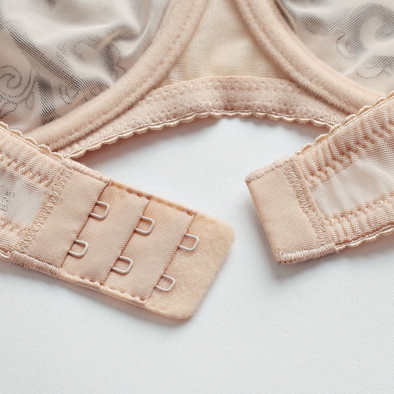 Cheeky Ultra-Thin See-Thru Embroidered Bra And Panty Set