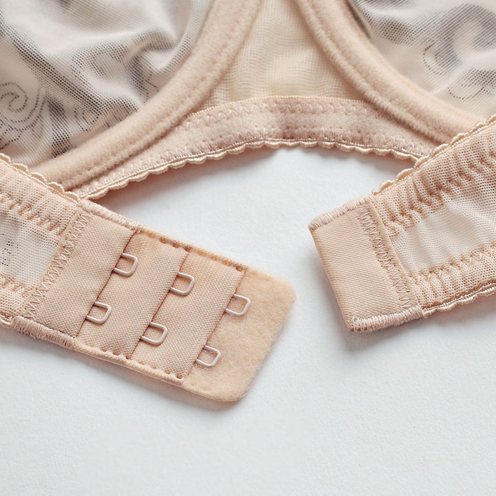 Cheeky Ultra-Thin See-Thru Embroidered Bra And Panty Set