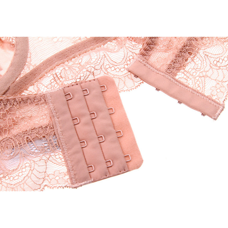 Basic Embroidered Classic Style Lace Brassiere & Panty