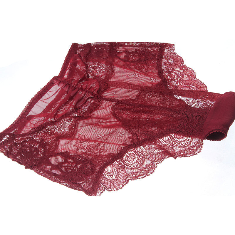 Basic Embroidered Classic Style Lace Brassiere & Panty