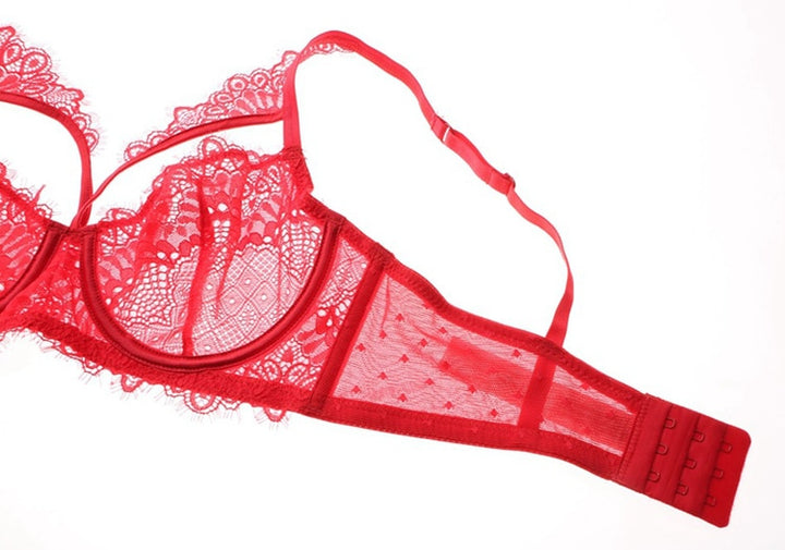 Ornate Bra and Panty Set With Translucent Lace