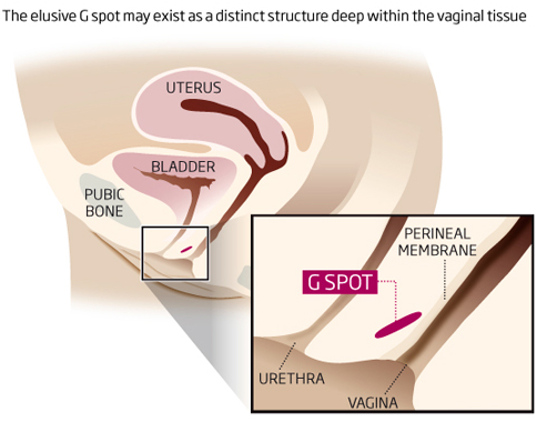 How To Find The G Spot