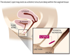 How To Find The G Spot