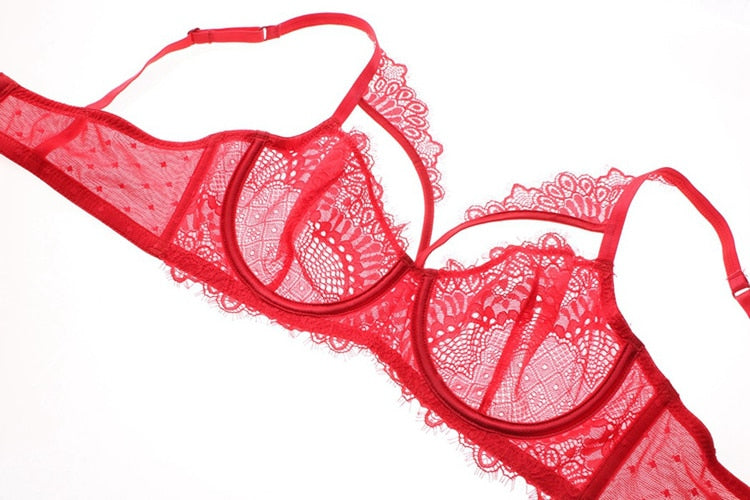 Ornate Bra and Panty Set With Translucent Lace
